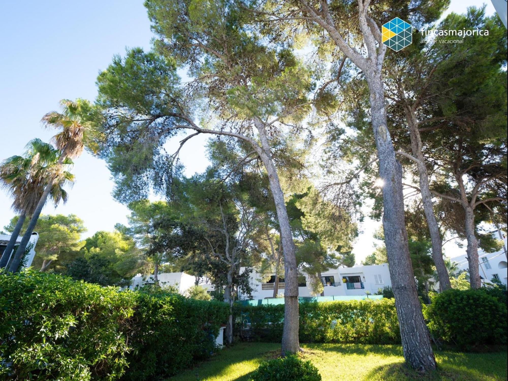 Prima Cala d'Or (Mallorca)