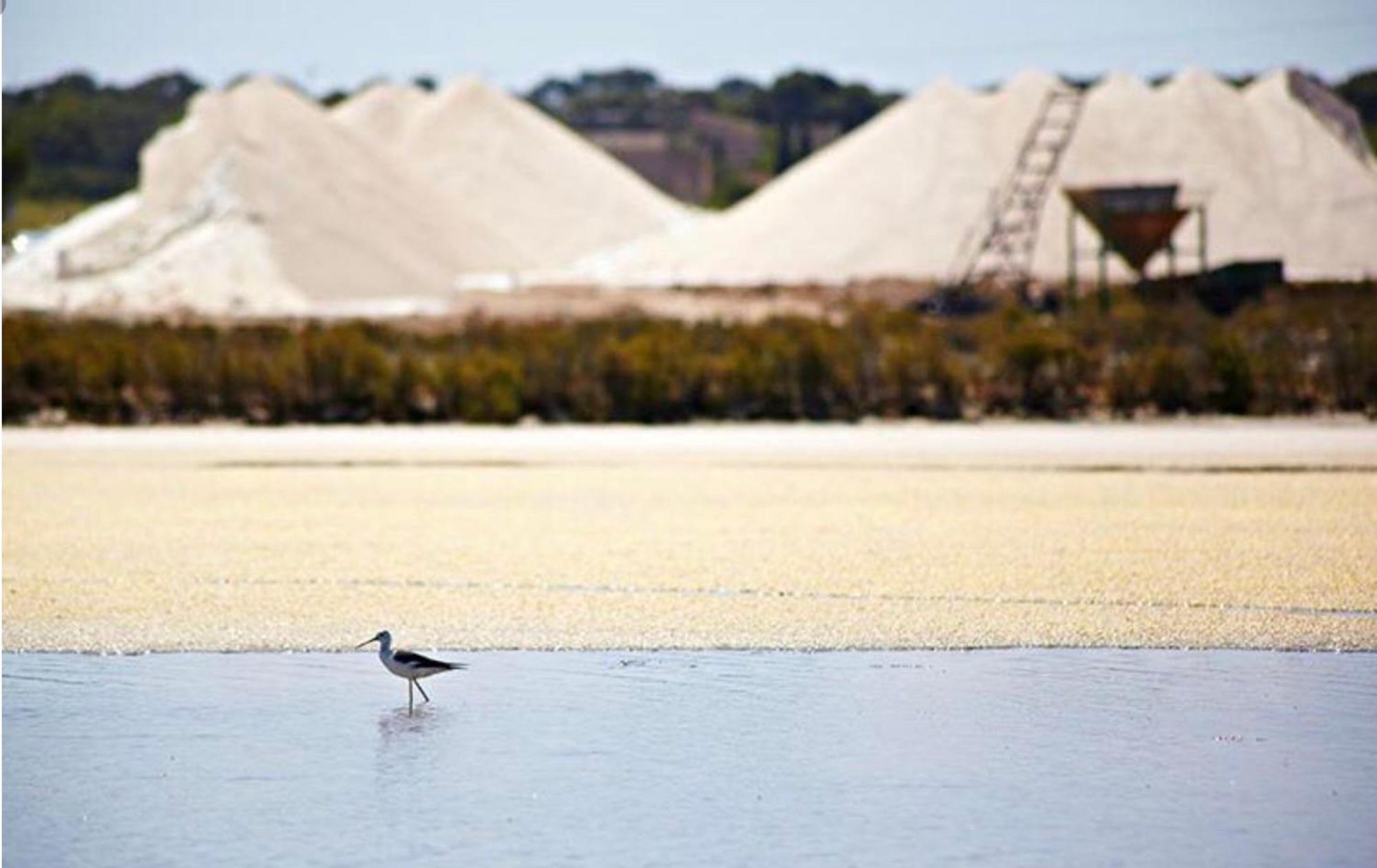Сasa de vacaciones Christiane Las Salinas