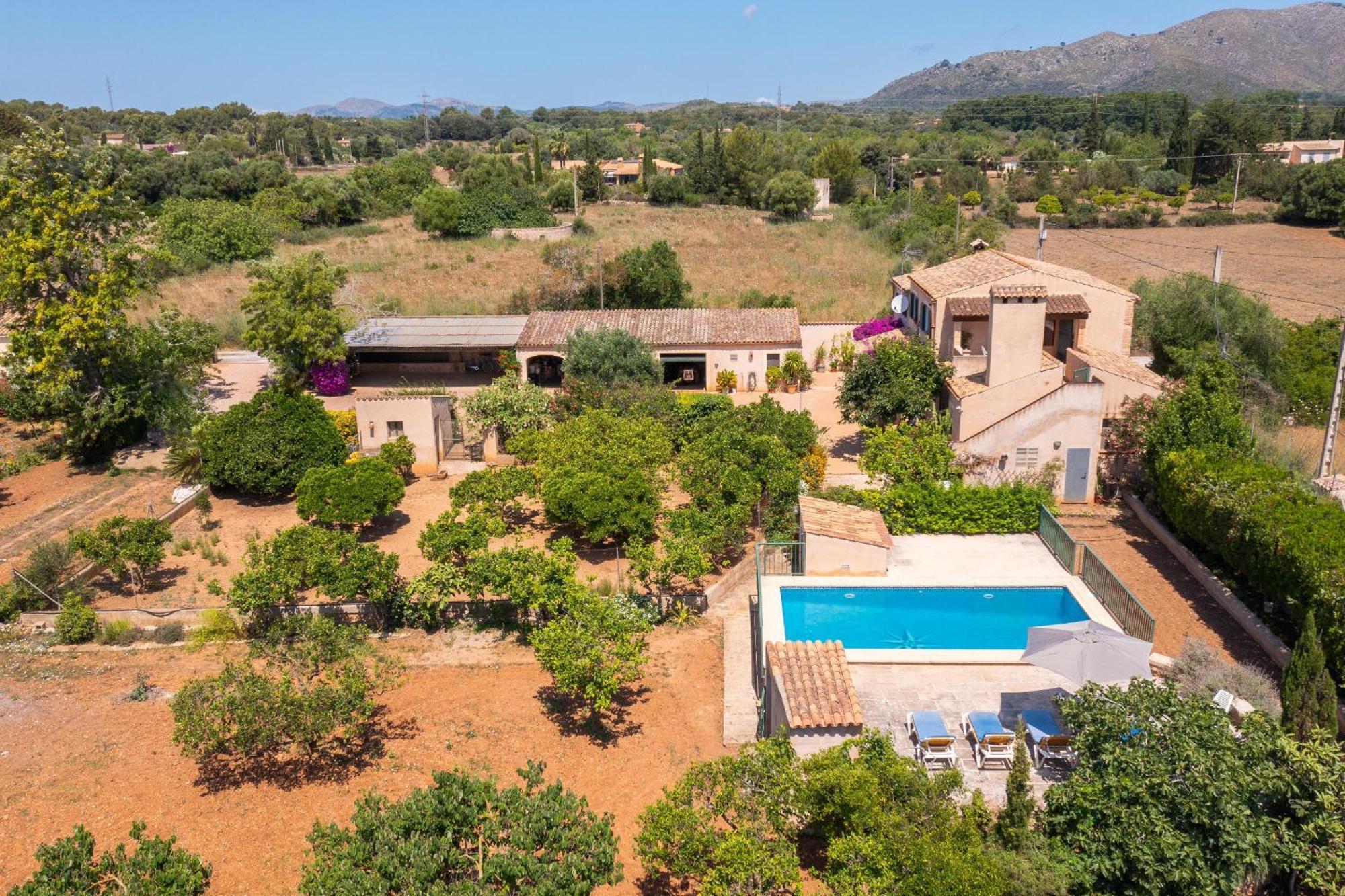 Ideal Mallorca - Petit *