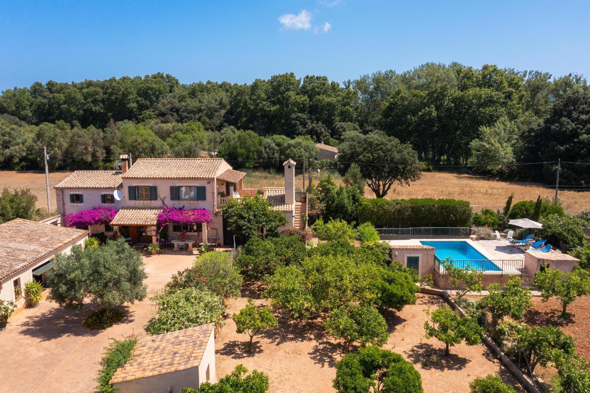 Ideal Mallorca - Petit Apartamento