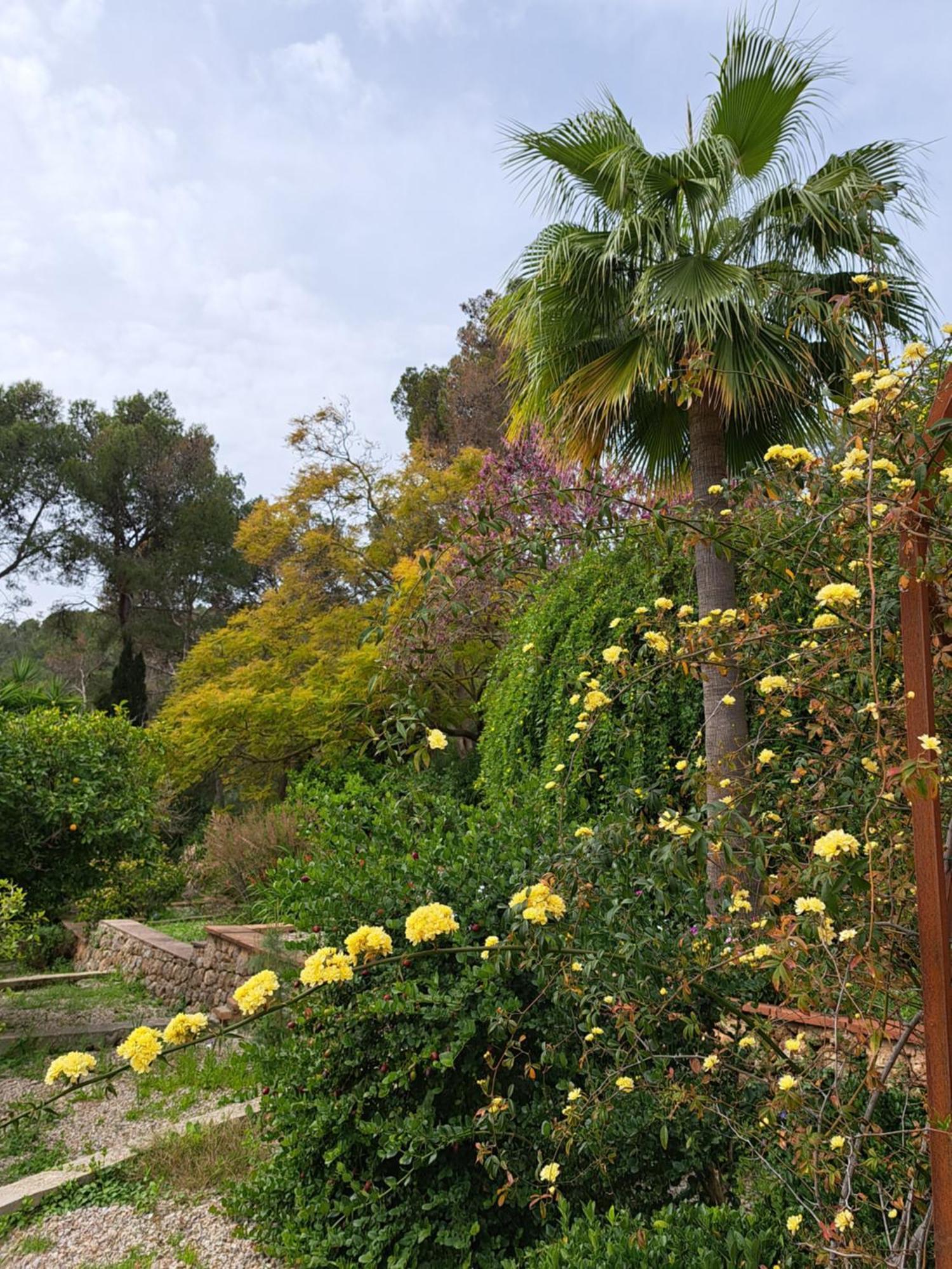 Villa Casa De Vistas *