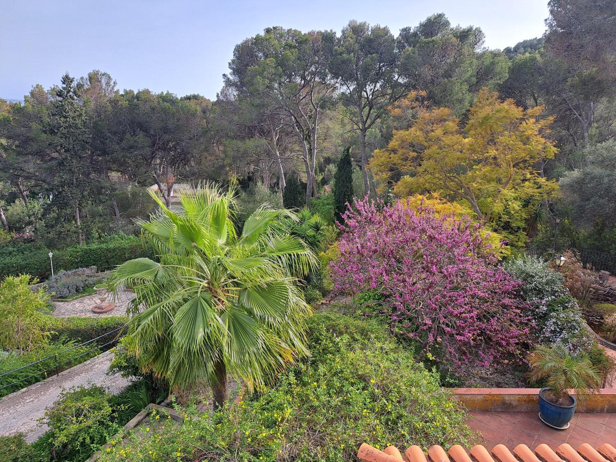 Villa Casa De Vistas Palma de Mallorca