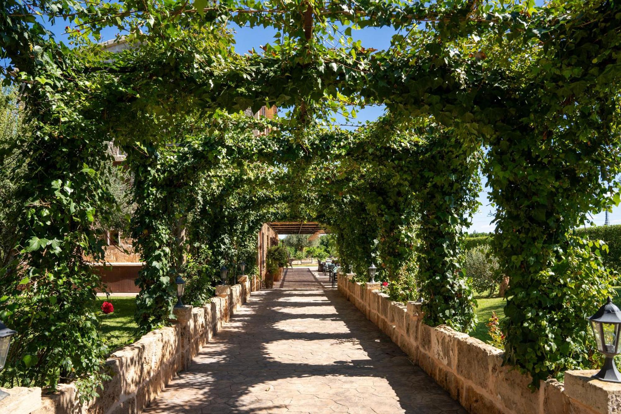 Cas Metge Matas Santa Maria del Cami (Mallorca)
