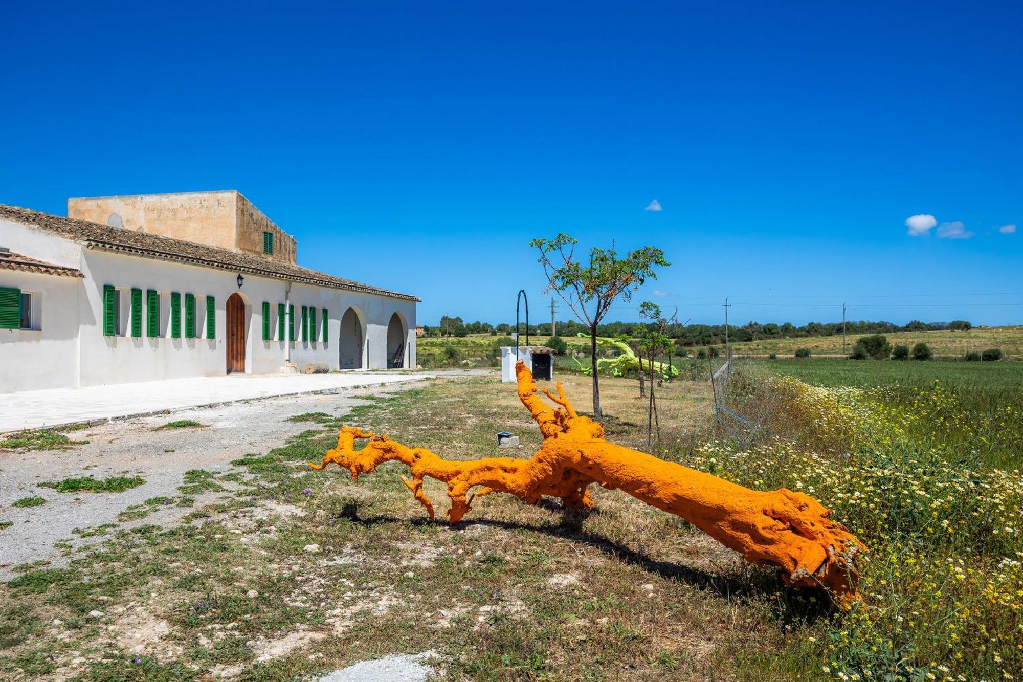 Agroturismo Son Crespi Vell 2 Manacor (Mallorca)