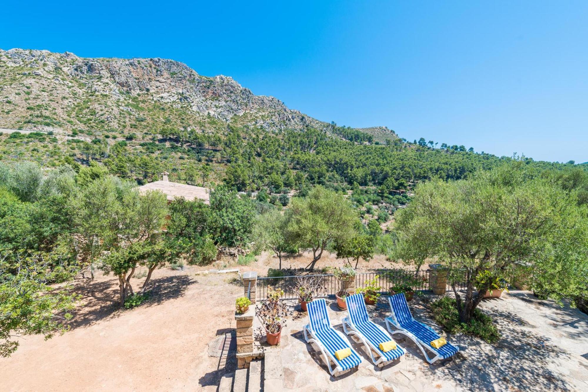 Villa Sa Tarongera Andratx (Andrach)