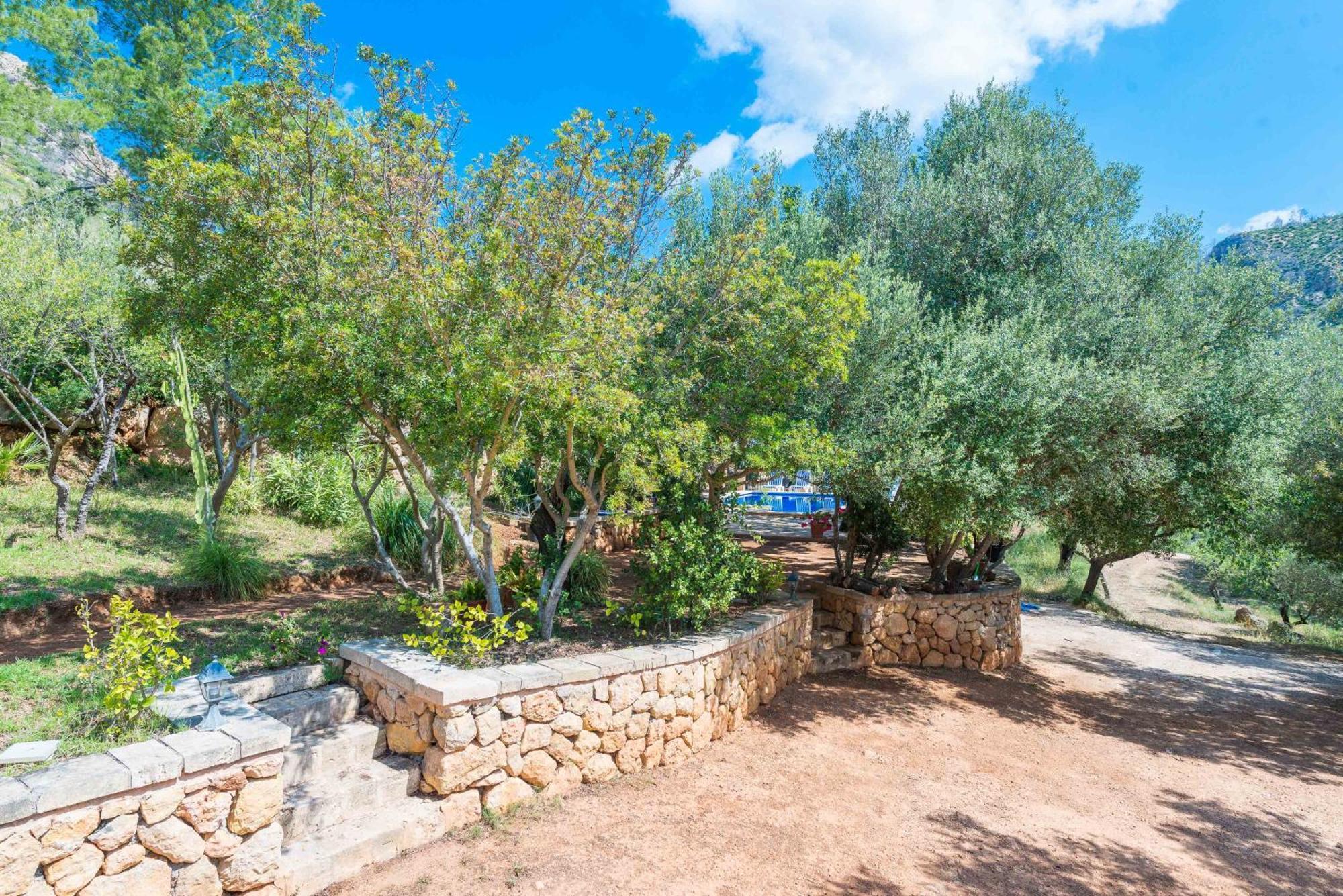 Villa Sa Tarongera Andratx (Andrach)