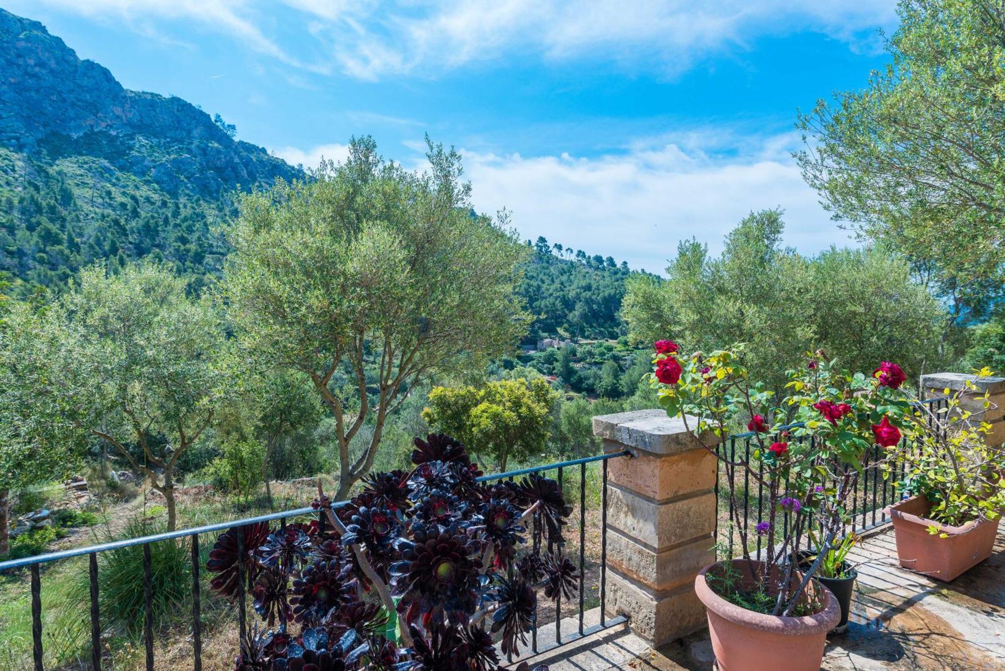 Villa Sa Tarongera
