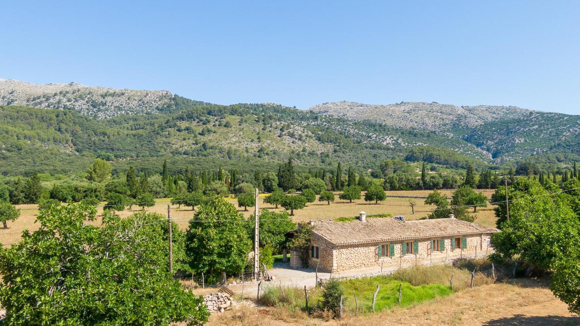 Fangar Campanet