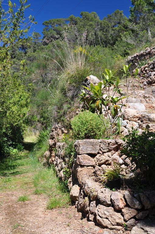 Sa Capsana Villa