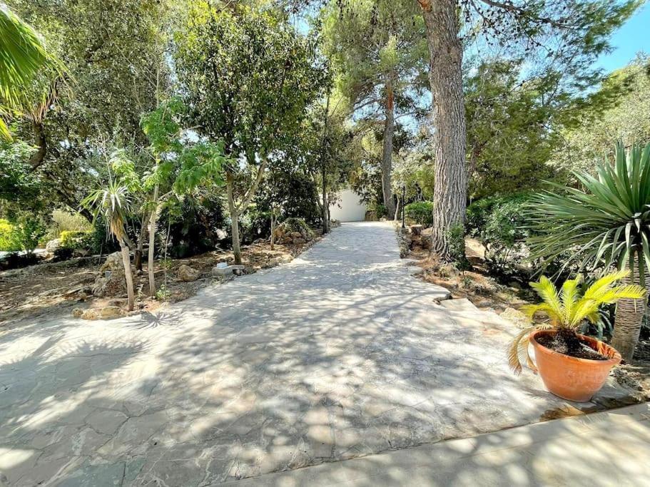 Apartamento Strandnahe Mit Pool, Wifi, Klima, Heizung, Tischtennis, Trampolin In *