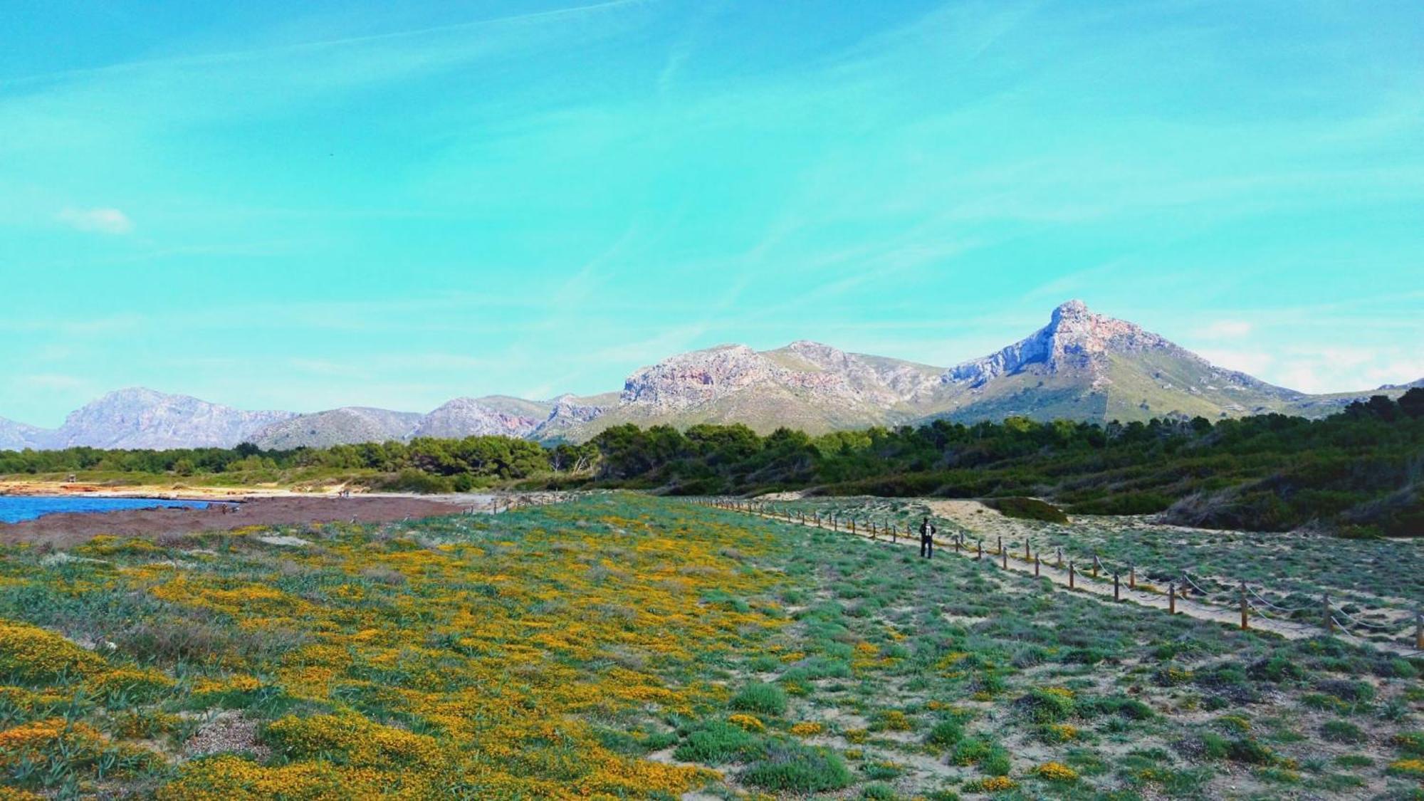 Sestanyol Colonia de Sant Pere