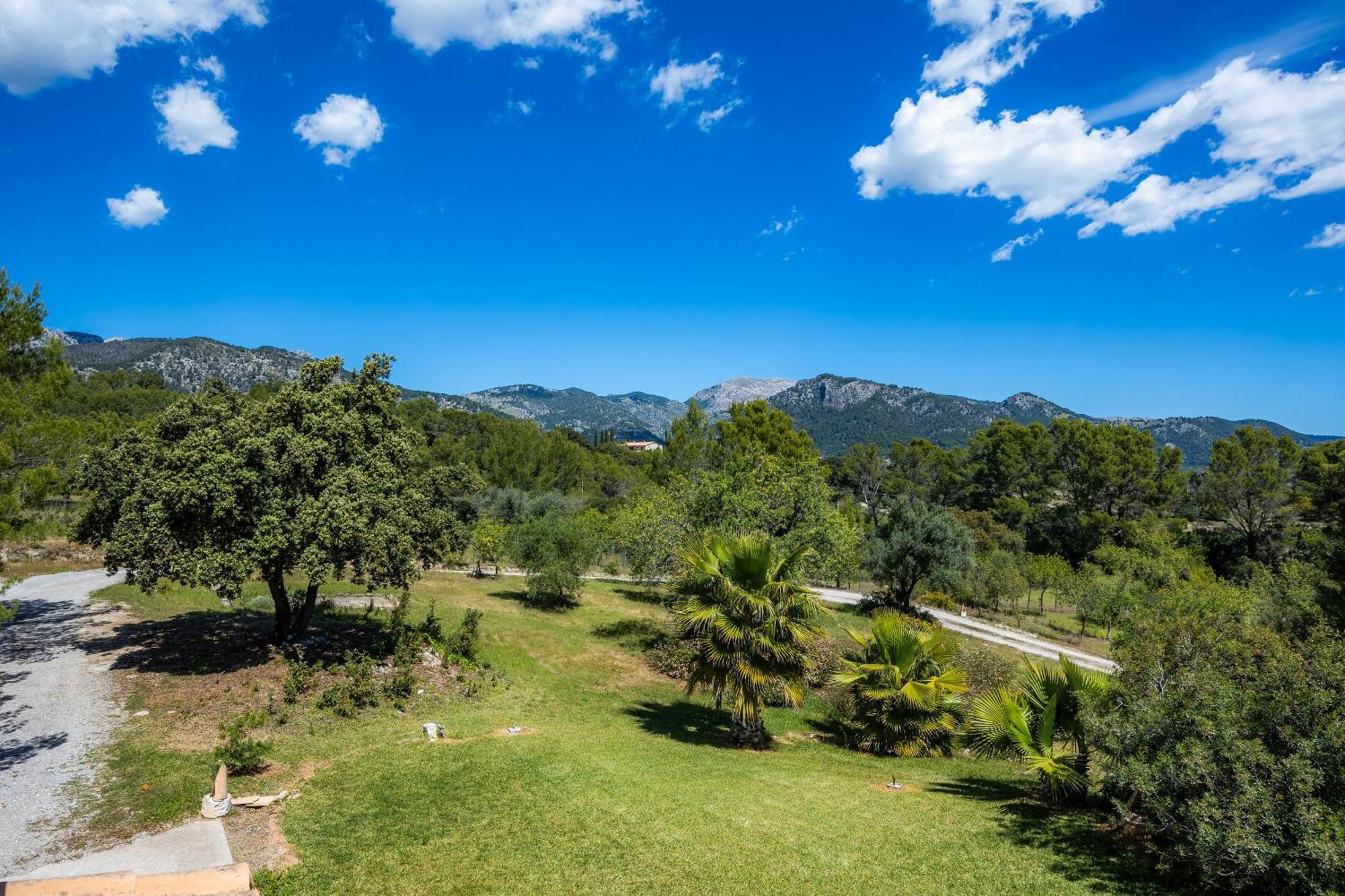 Finca Moscari * Moscari