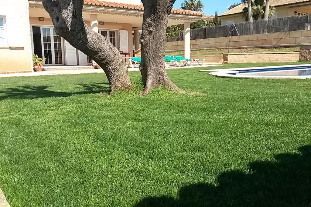 Welcome Home. Willkommen. Bienvenidos Villa Marratxi