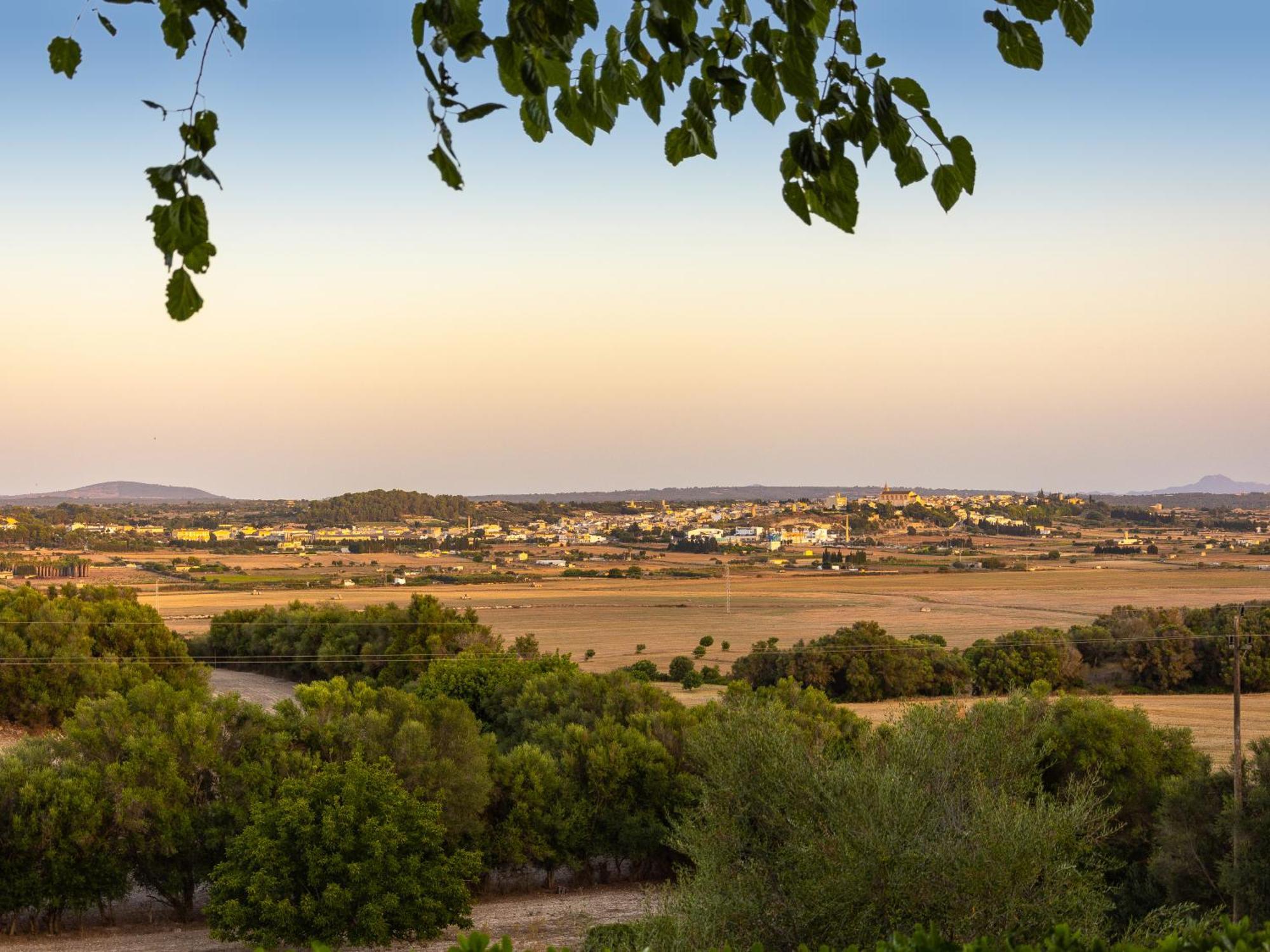 Farm stay Son Flor Santa Margalida