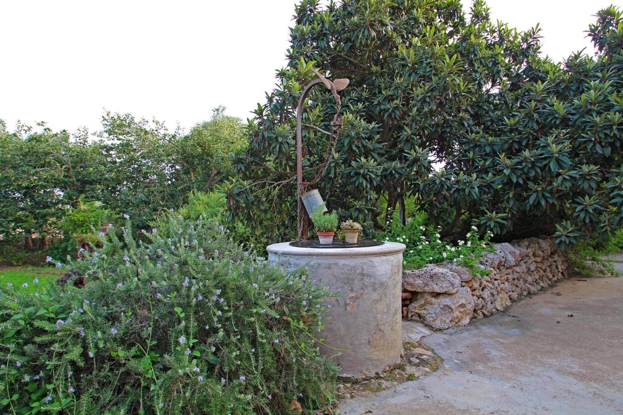 Finca Son Xuric *