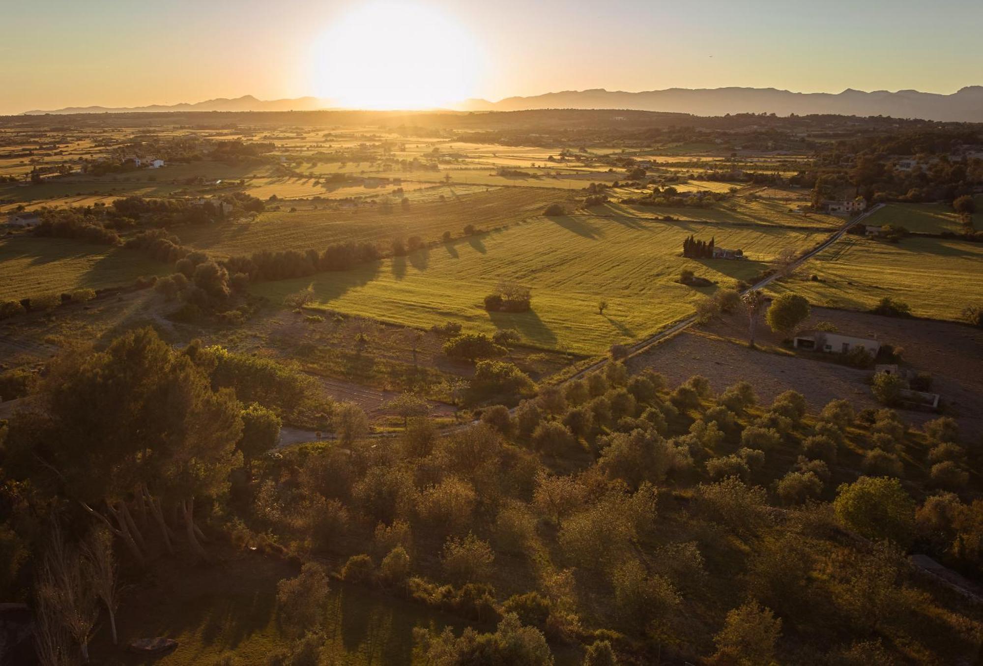 Hotel Rural Es Figueral Nou 4*