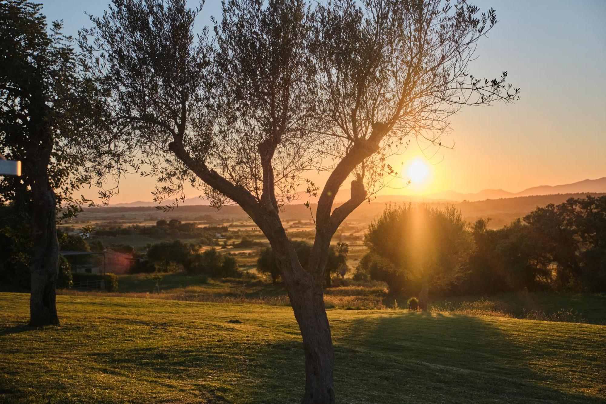 Rural Es Figueral Nou Hotel