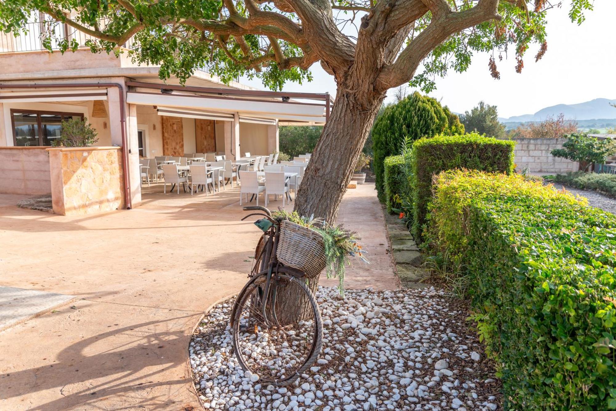 Apartamento Pere Rei *