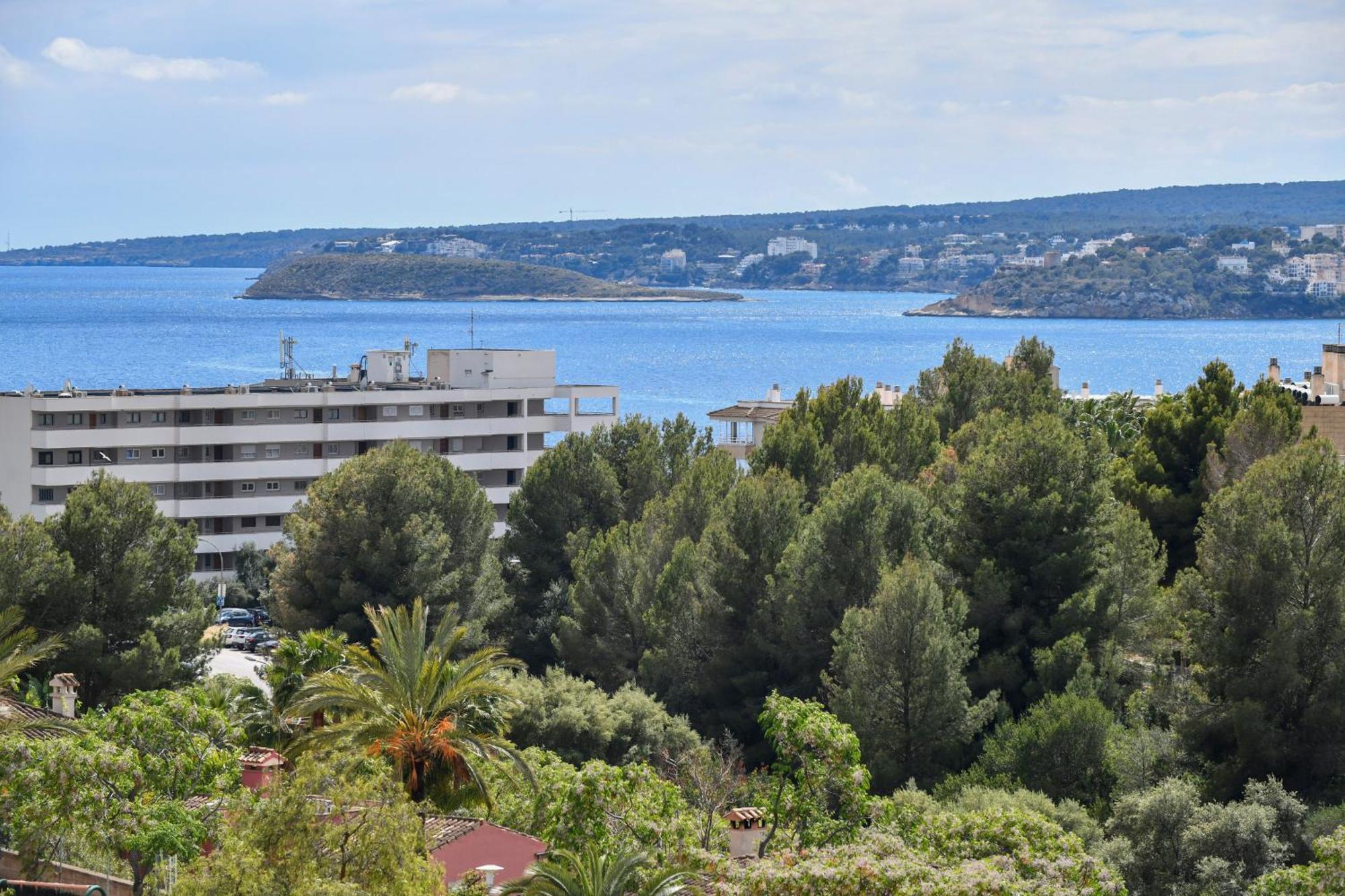 Salles Marina Portals Hotel