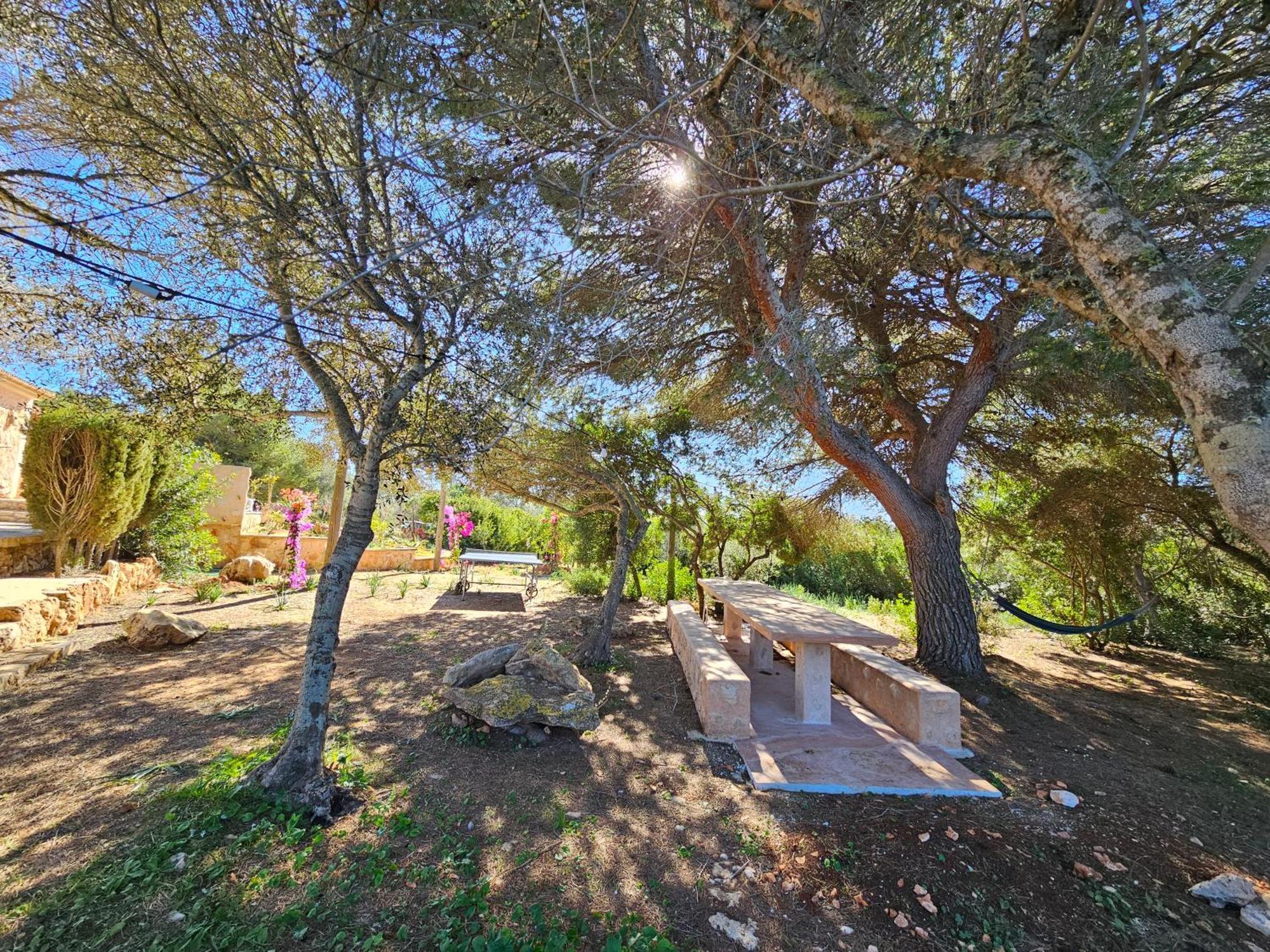 Mallorca Dream Villa