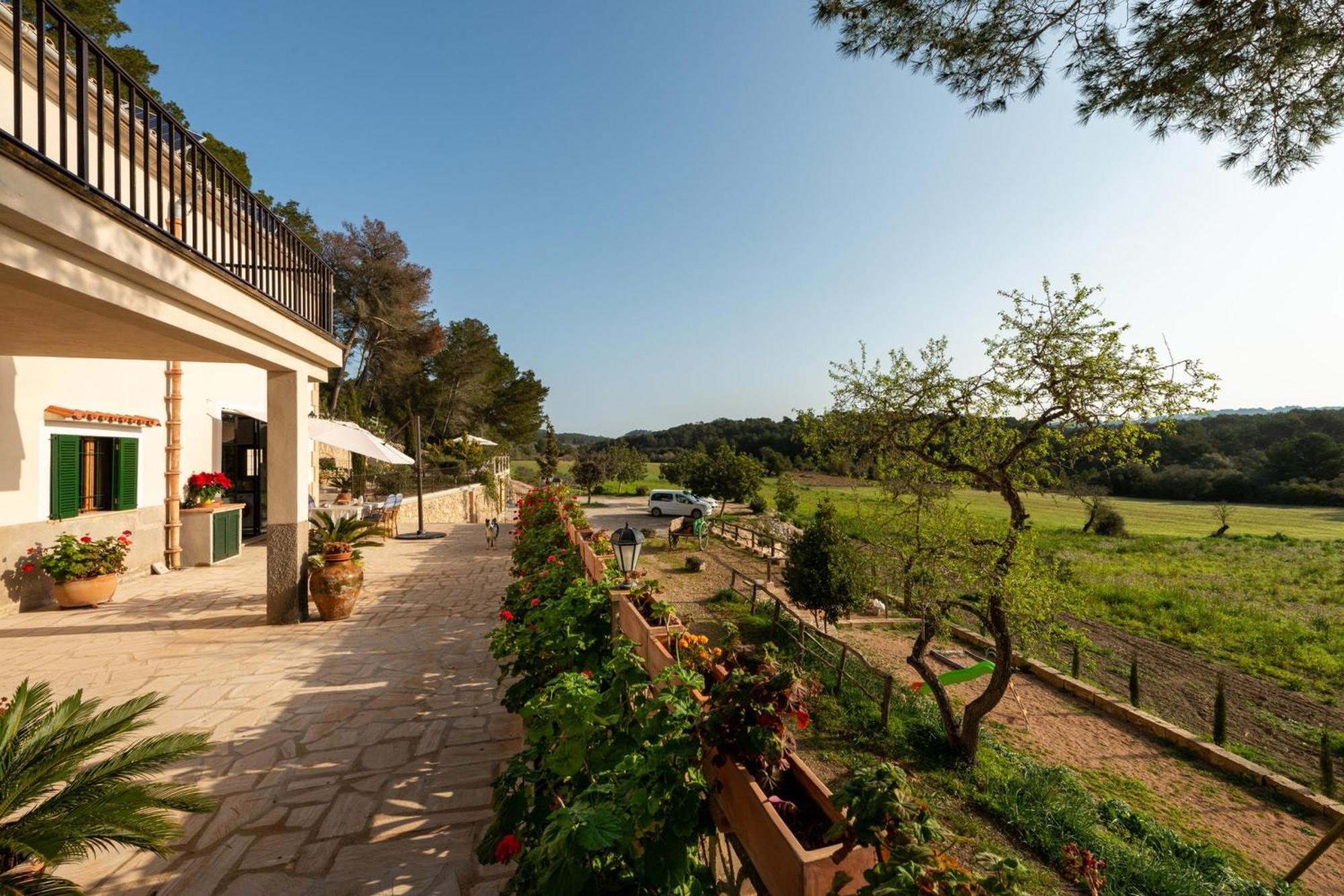Eco Alegria * Llucmajor (Mallorca)