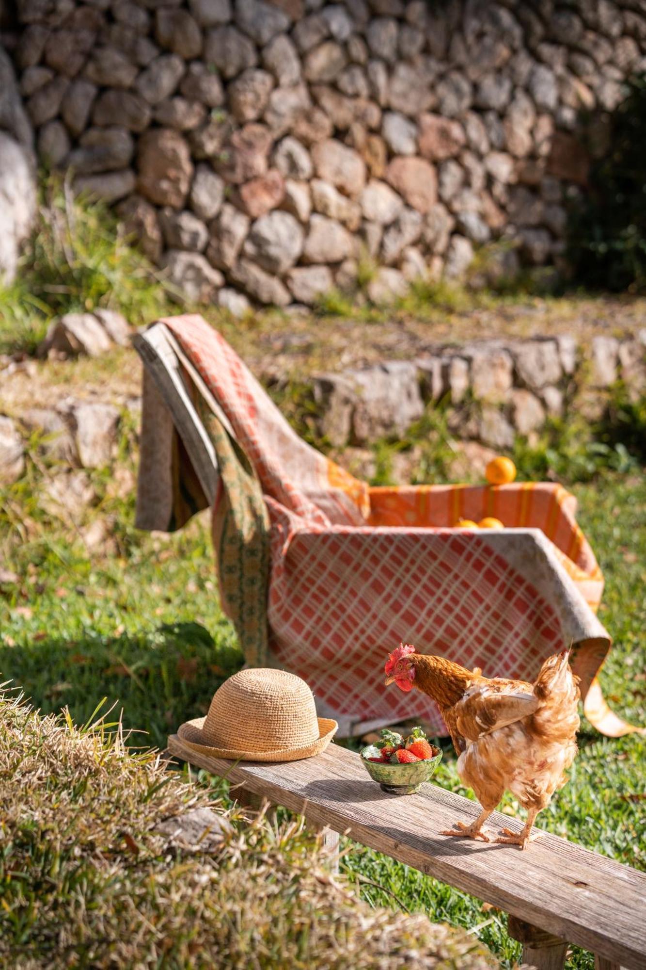 Son Viscos Casa rural *