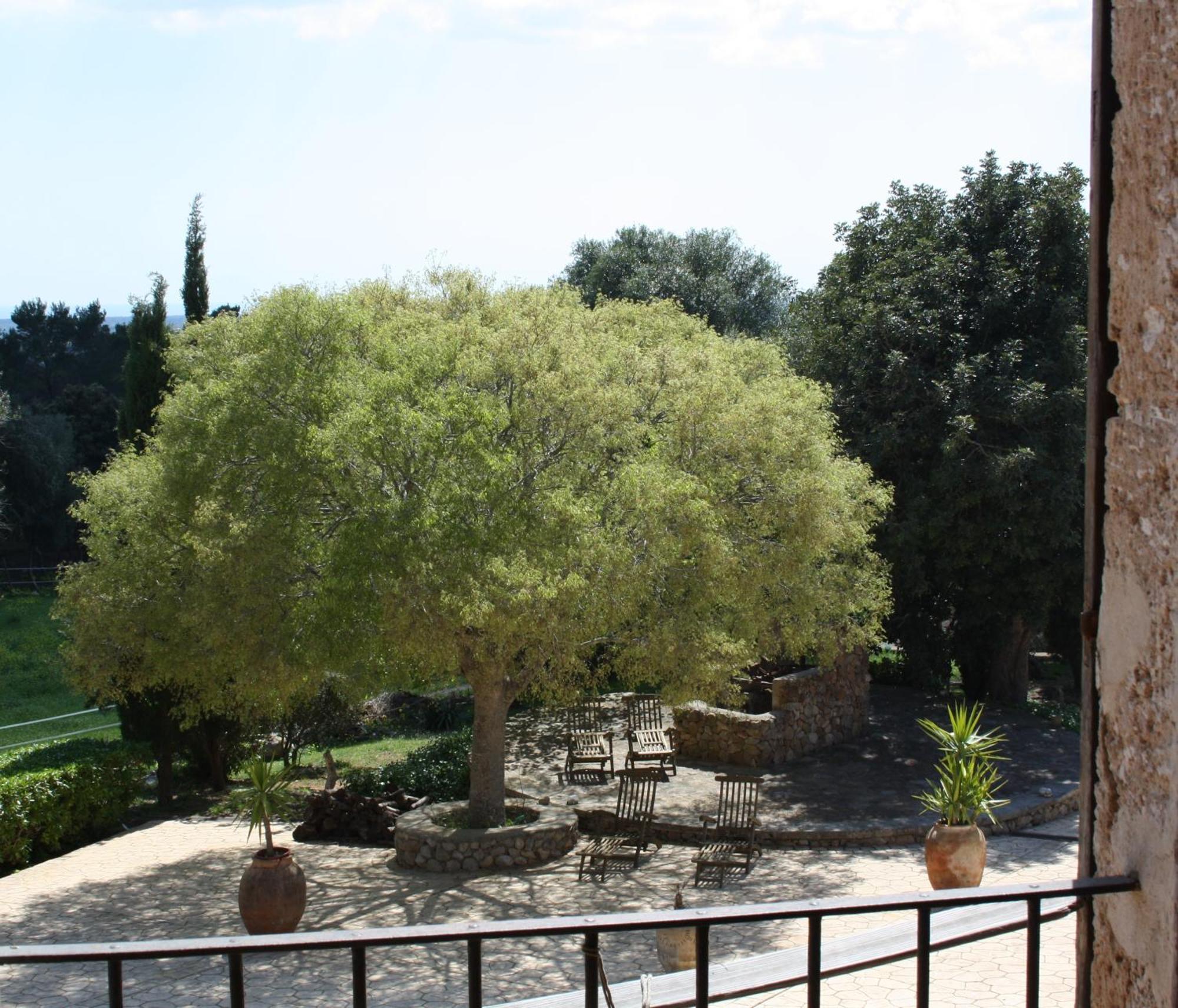 Son Sama * Llucmajor (Mallorca)