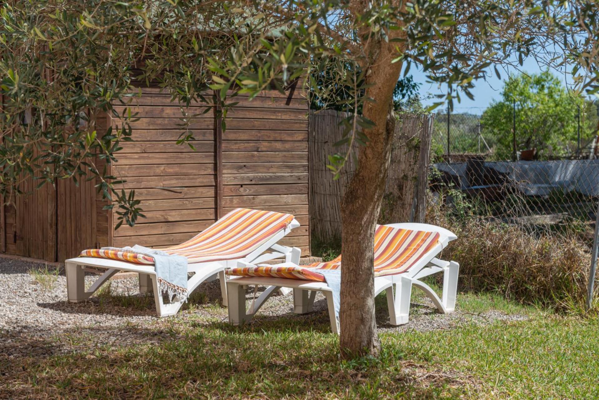 Vauma -