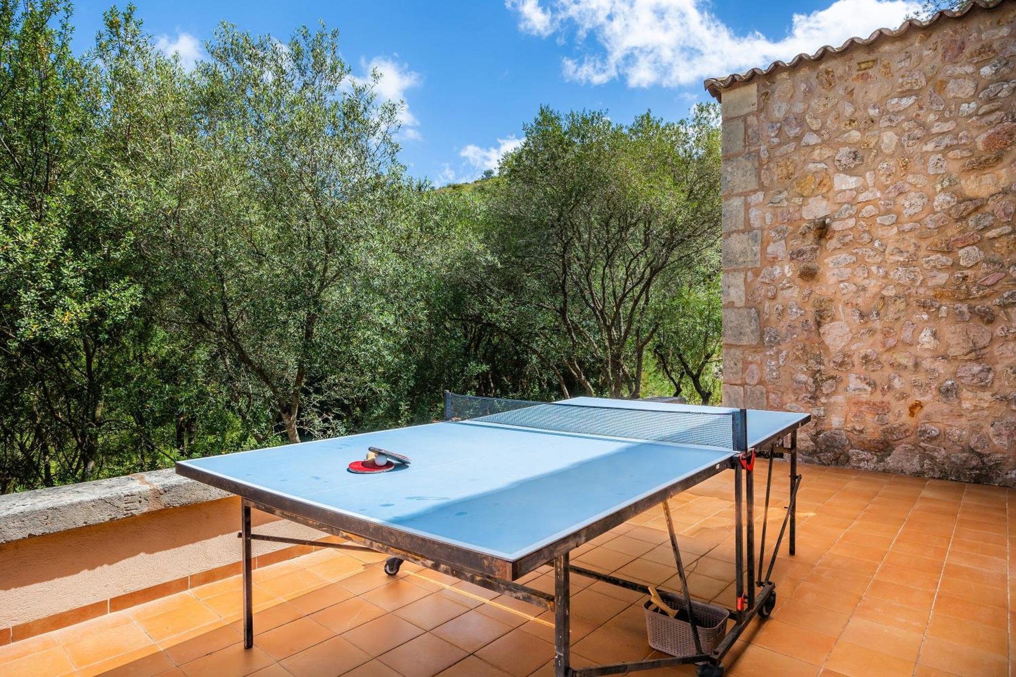 Seguinot D'alt * Puerto Pollensa