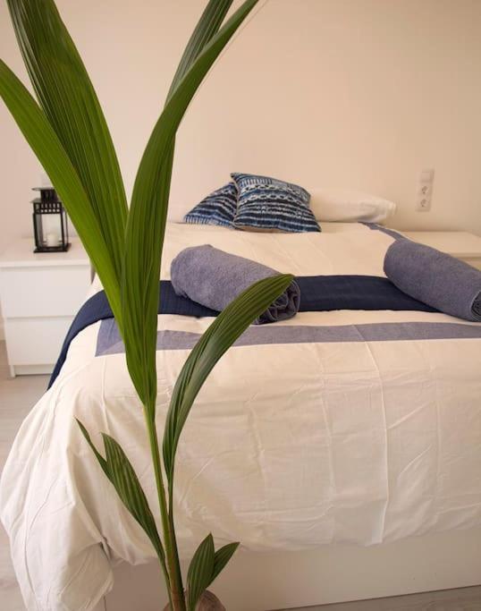 Сasa de vacaciones Triana_villa In Palma With Private Pool - Etv/10914 *