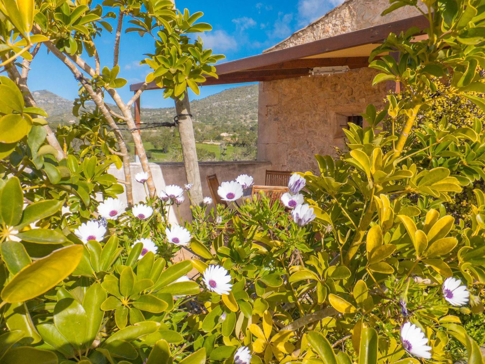 Agroturismo Ses Cases Noves