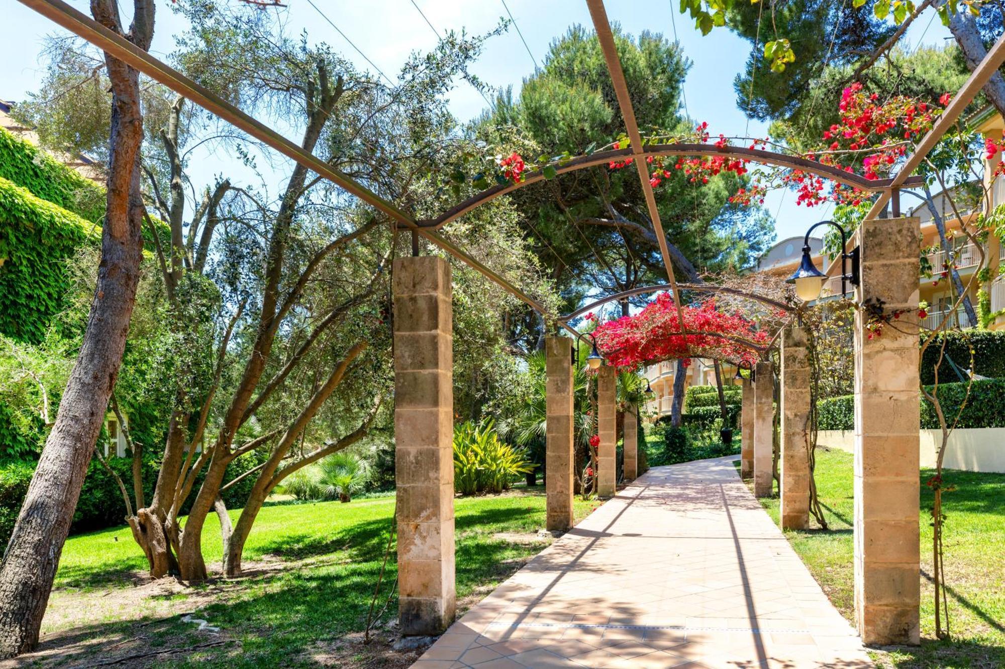 Viva Cala Mesquida & Adults Only 16