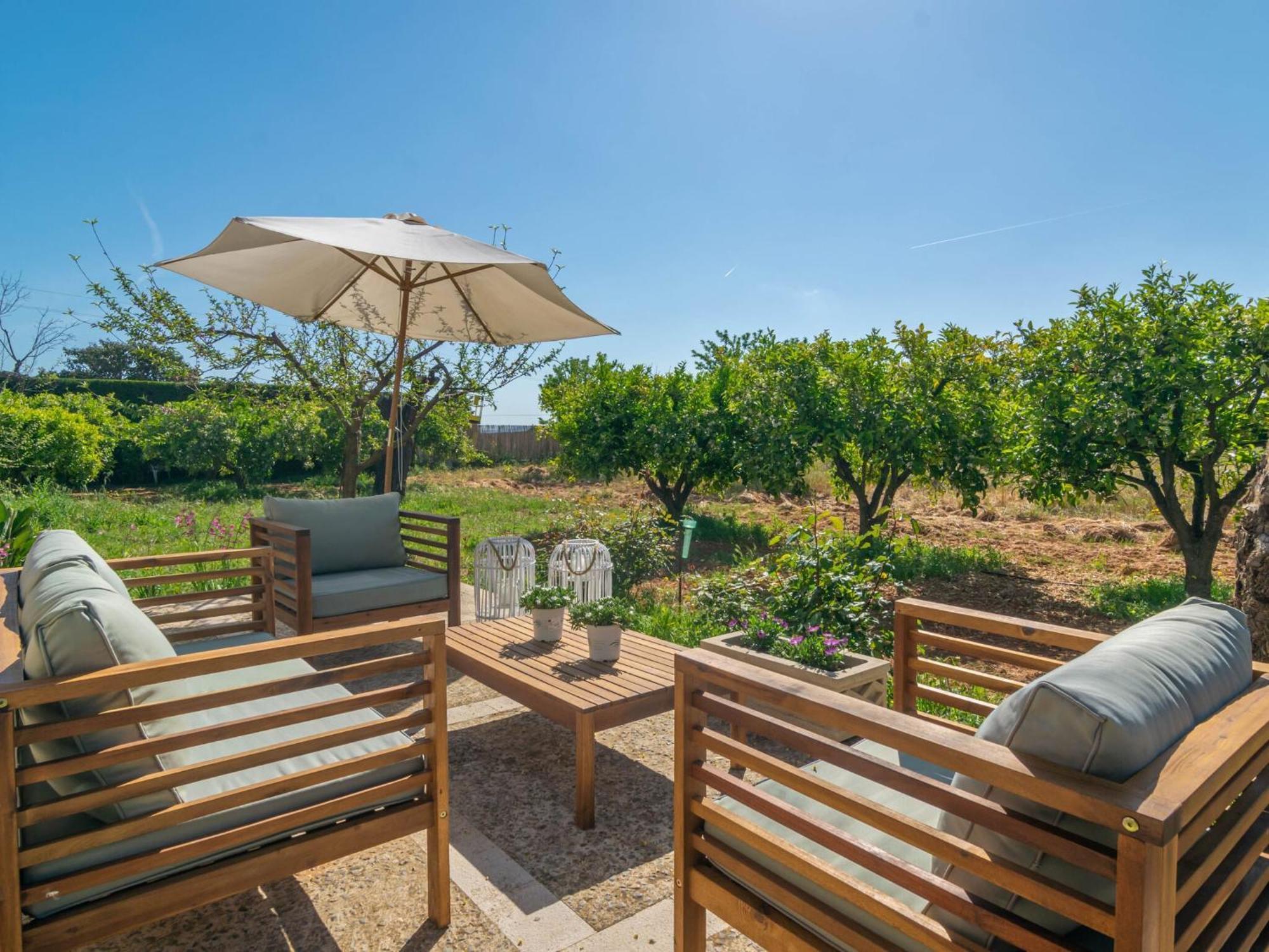 Pilos - In Free Wifi * Inca (Mallorca)