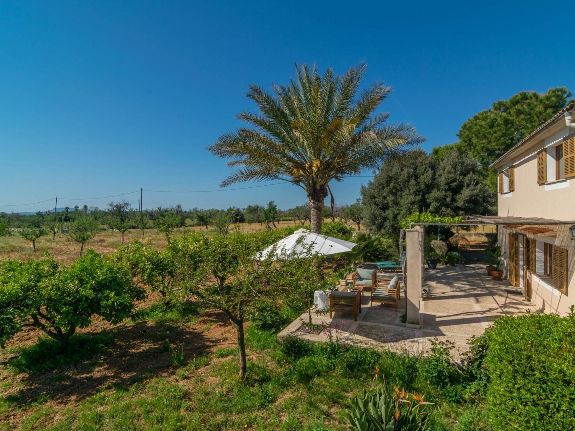 Villa Pilos - In Free Wifi
