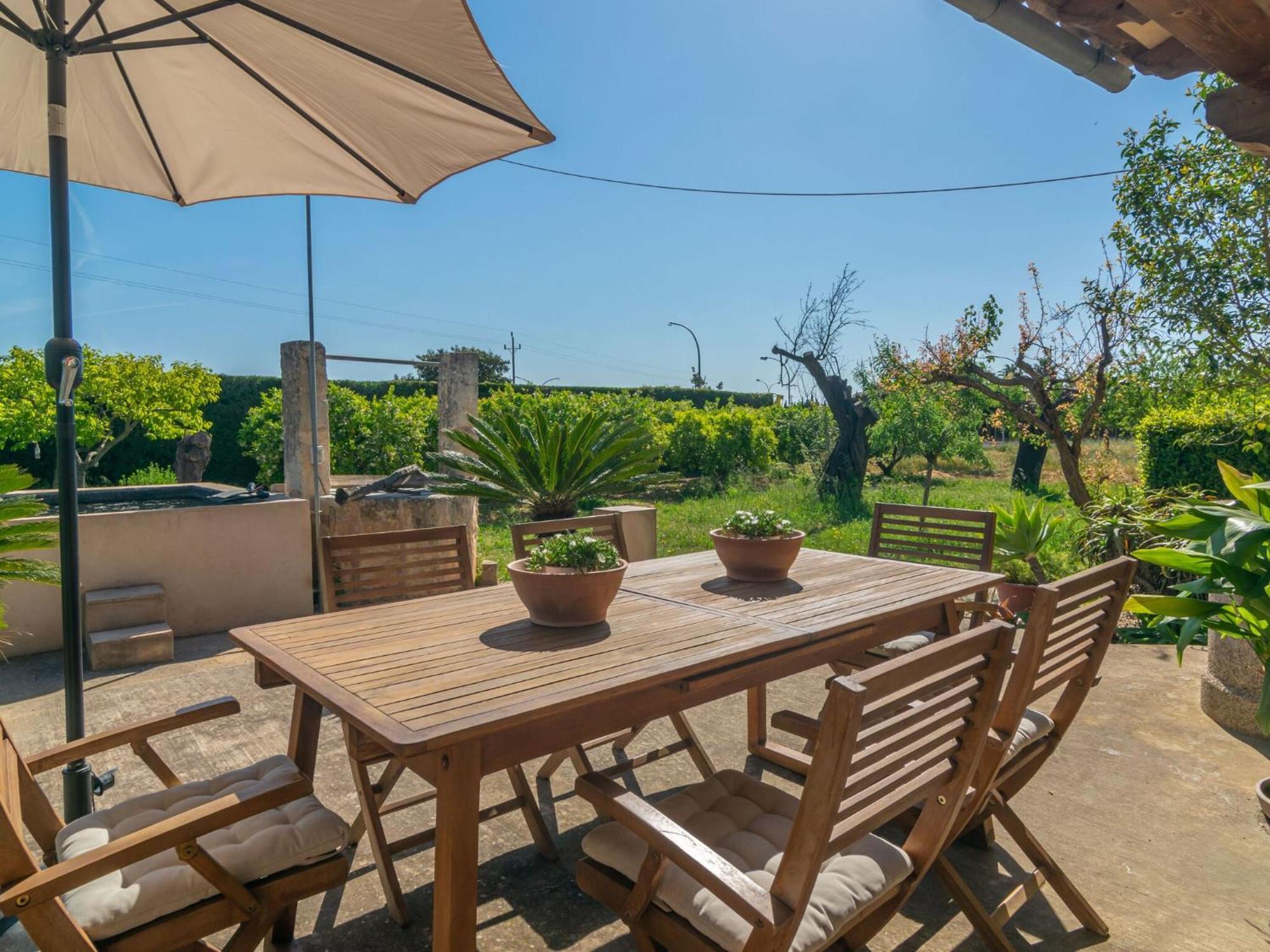 Pilos - In Free Wifi * Inca (Mallorca)