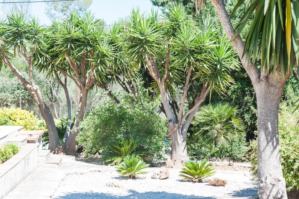 Villa Conchita