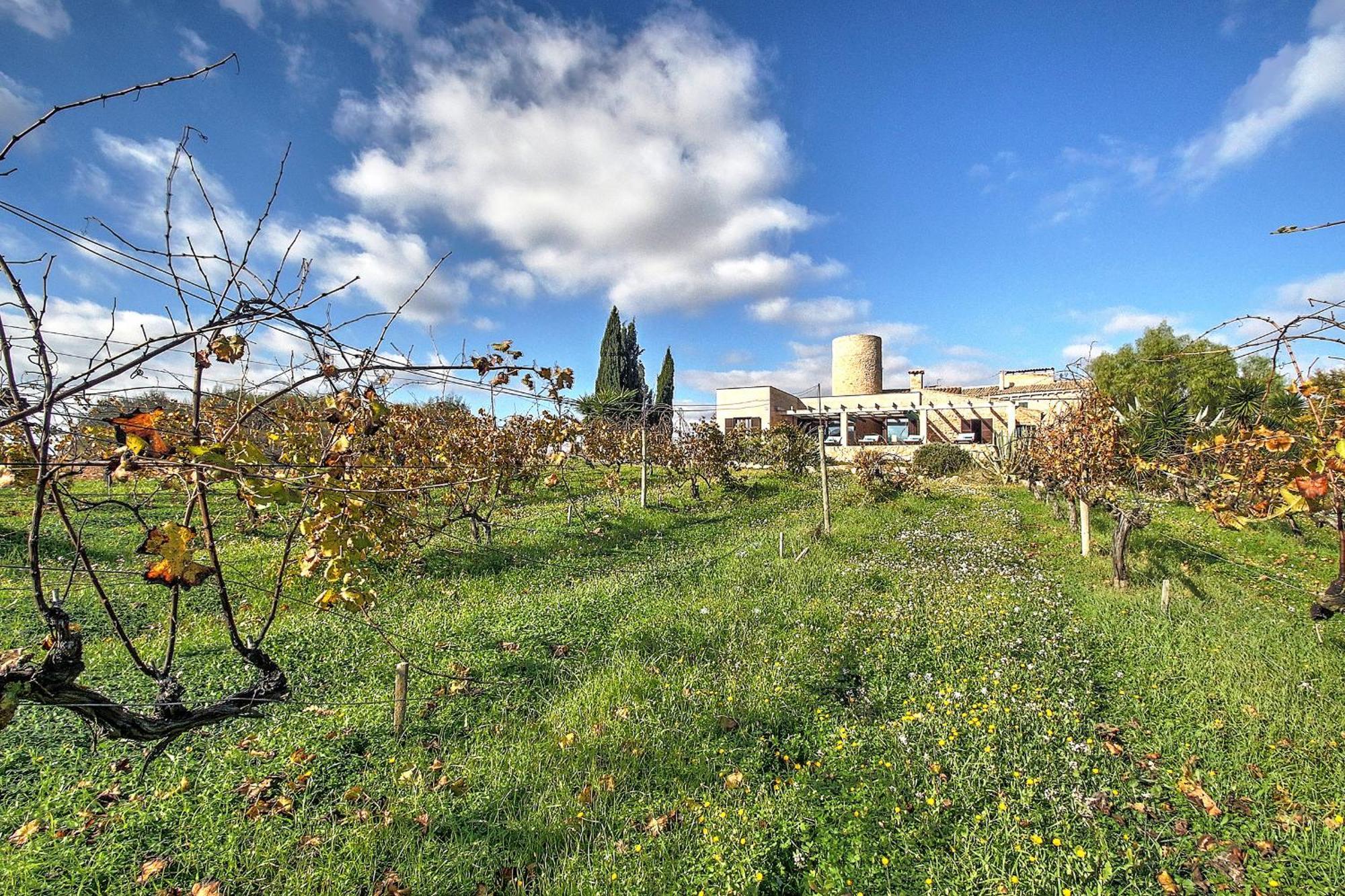 Son Bennasar By Slow Villa