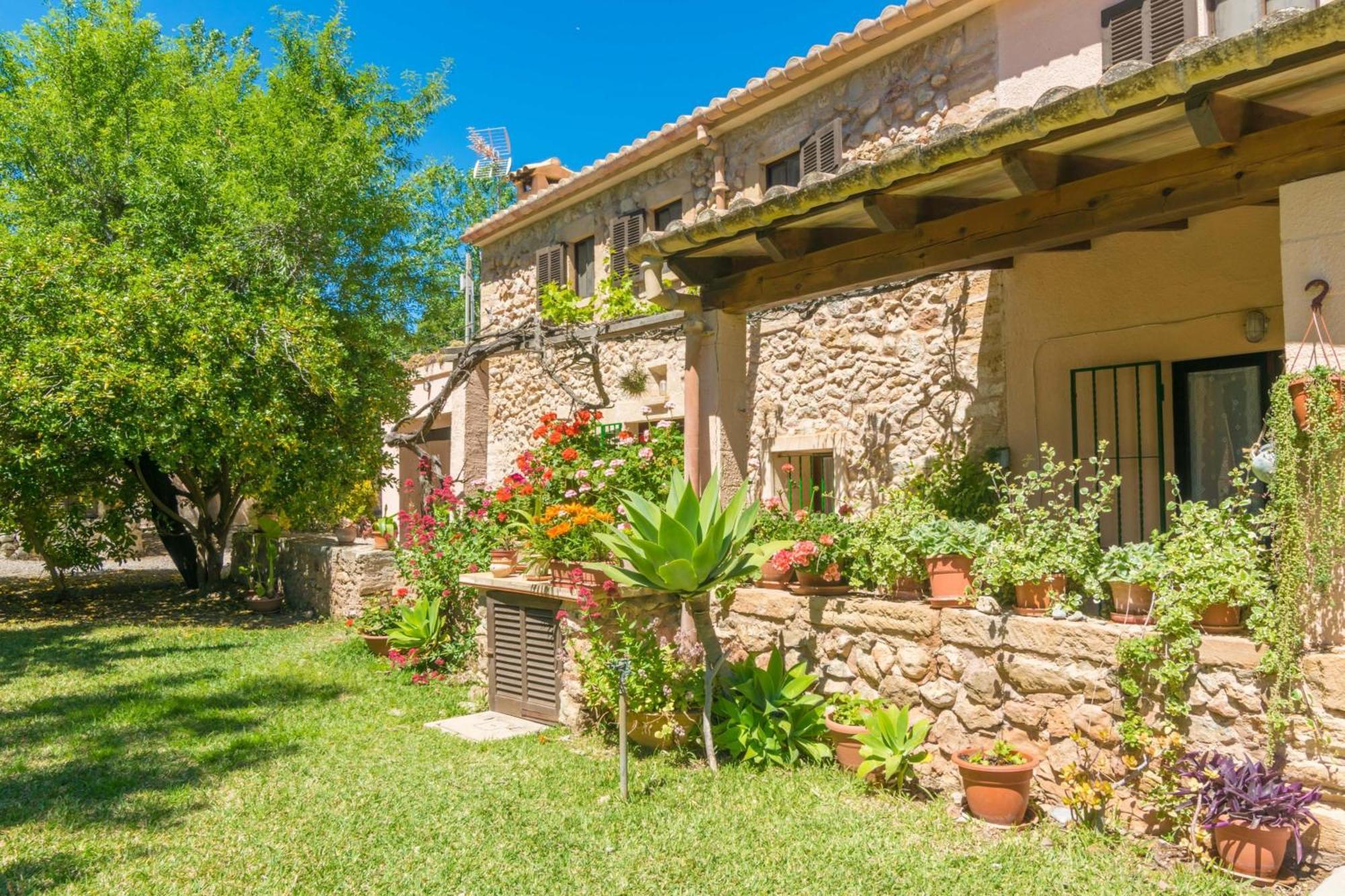 Ferrer Pollensa