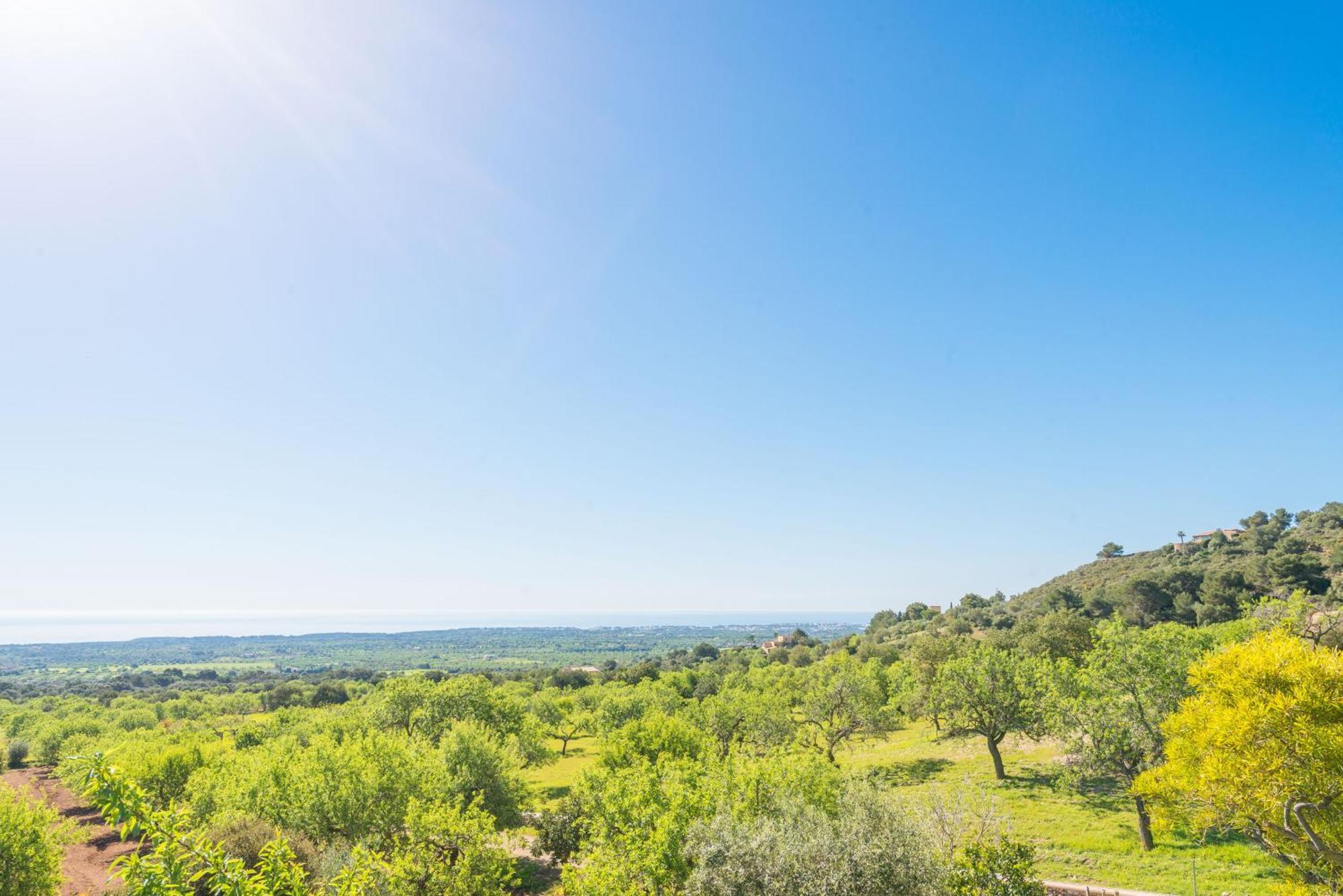 Sa Roca Blanca Villa *