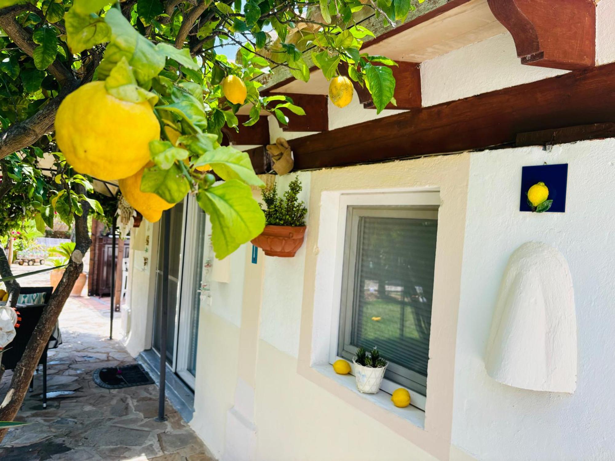 Casita Limon Holiday home Andratx