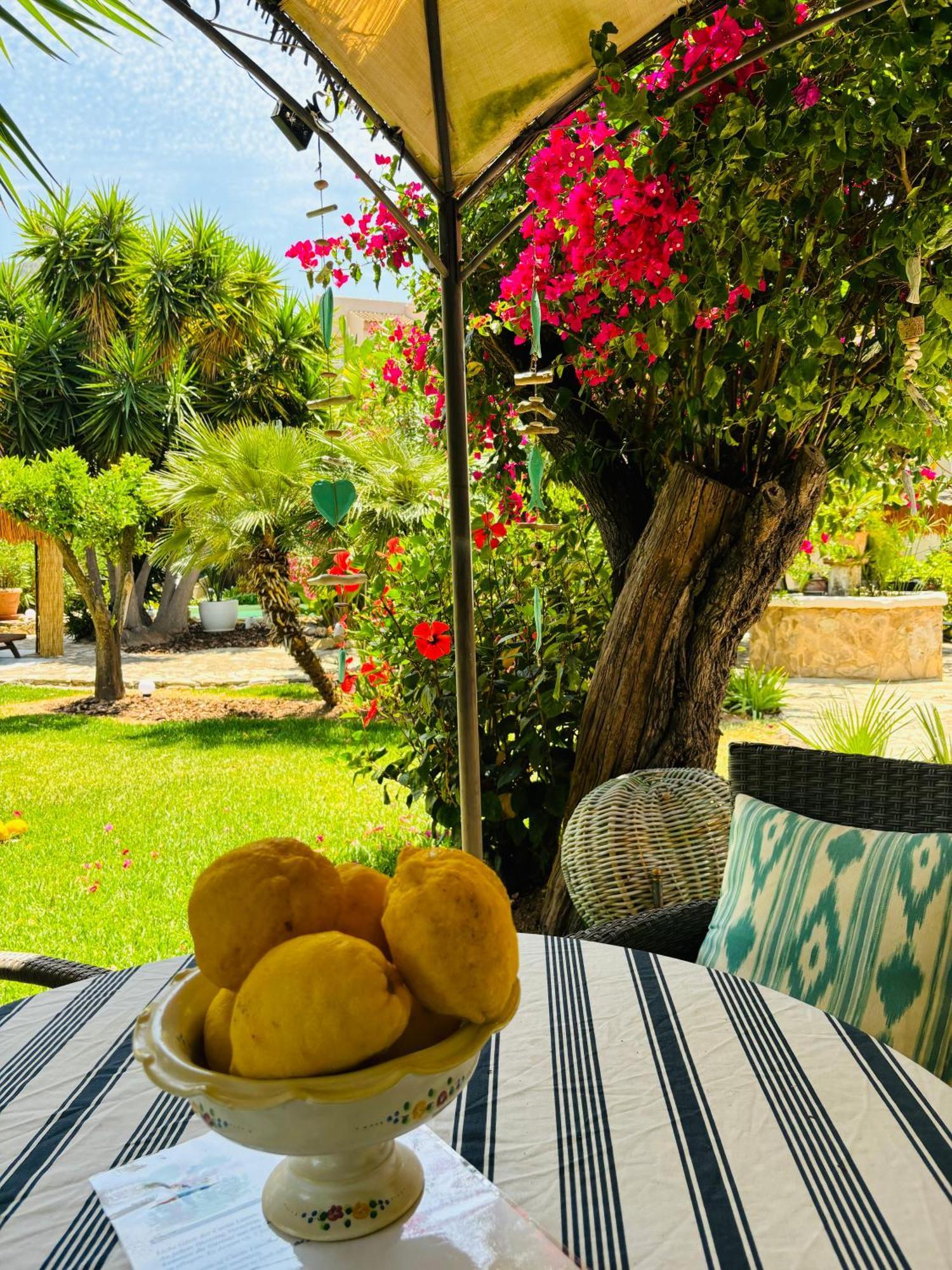 Casita Limon *