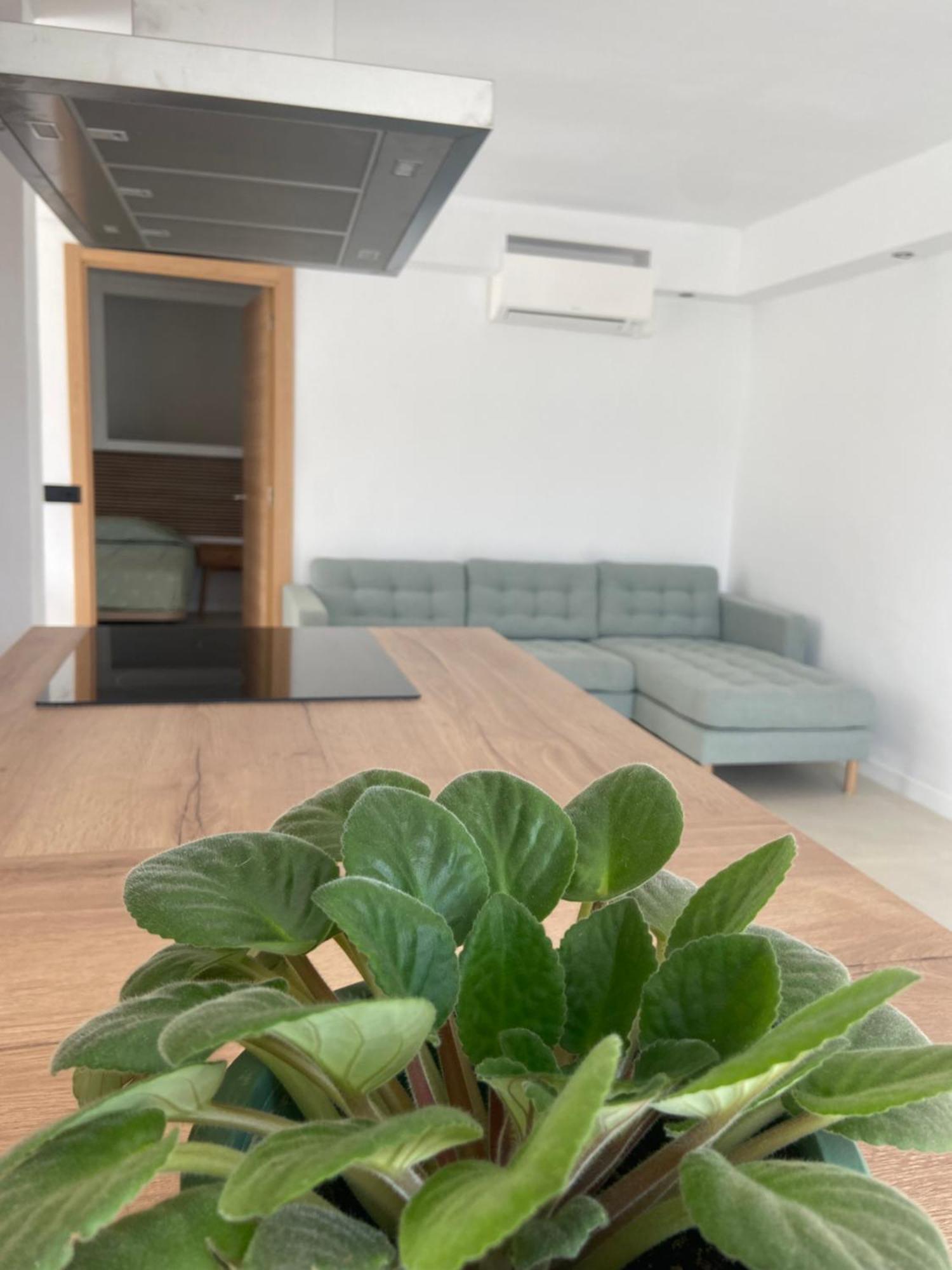 Apartment Eco Del Mar