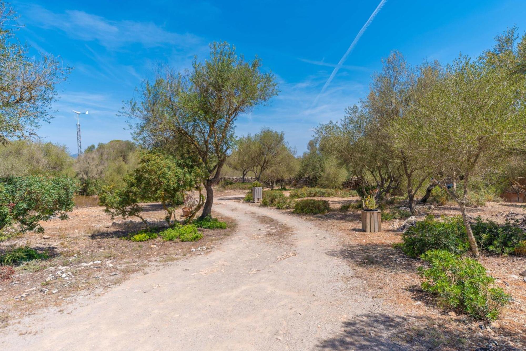 Sa Torreta Campos (Mallorca)