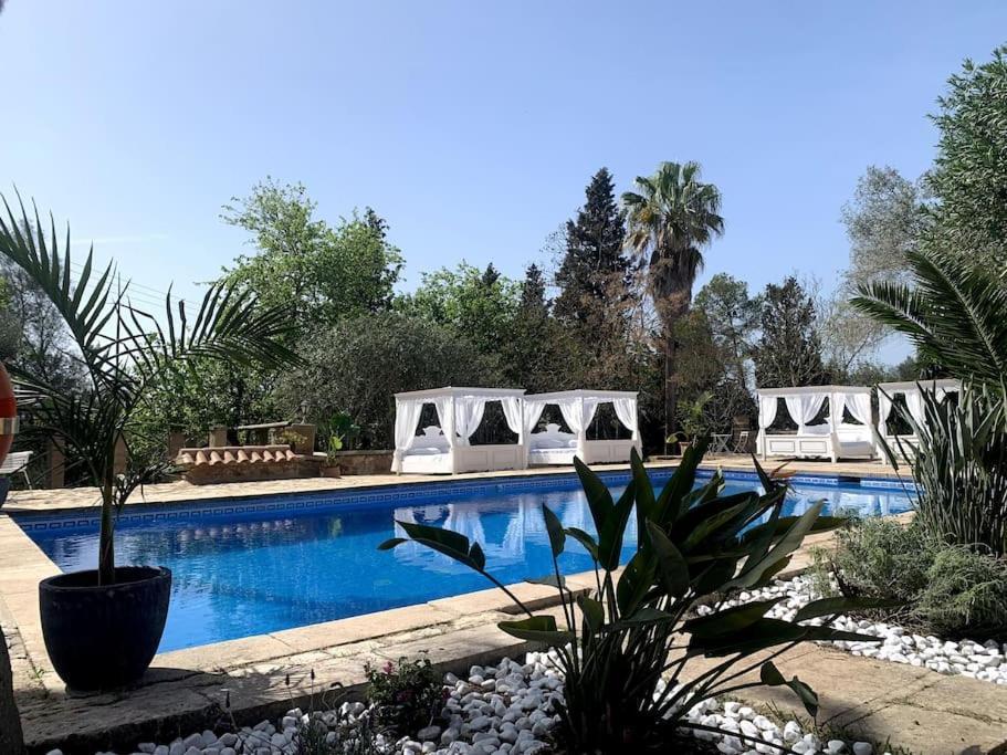 Apartamento Mateo, Erholung Pur In Stilvollem,modernenambiente Manacor (Mallorca)