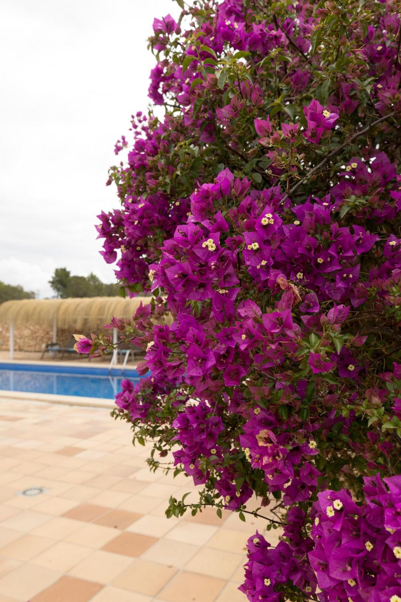 Villa Mestral, Reformada 2022 Alcúdia