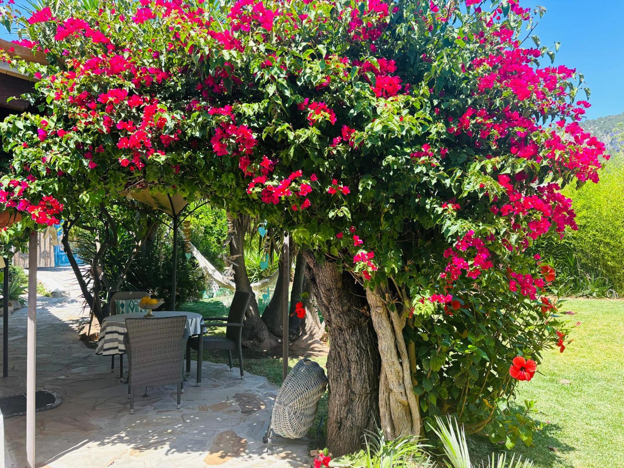 Casita Limon Holiday home *
