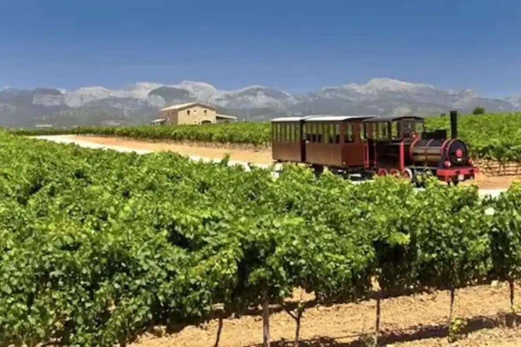 Сasa de vacaciones Casa Completa En