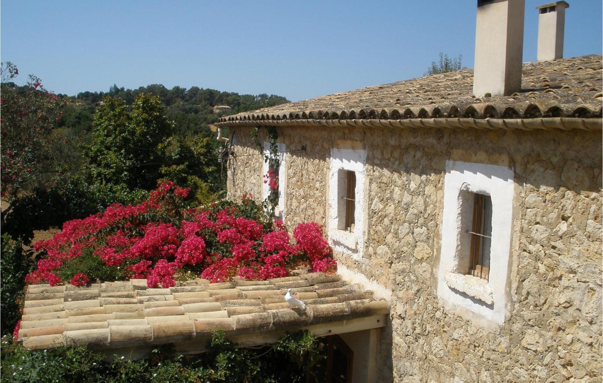 Pet Friendly In Selva With Kitchen * Selva (Mallorca)