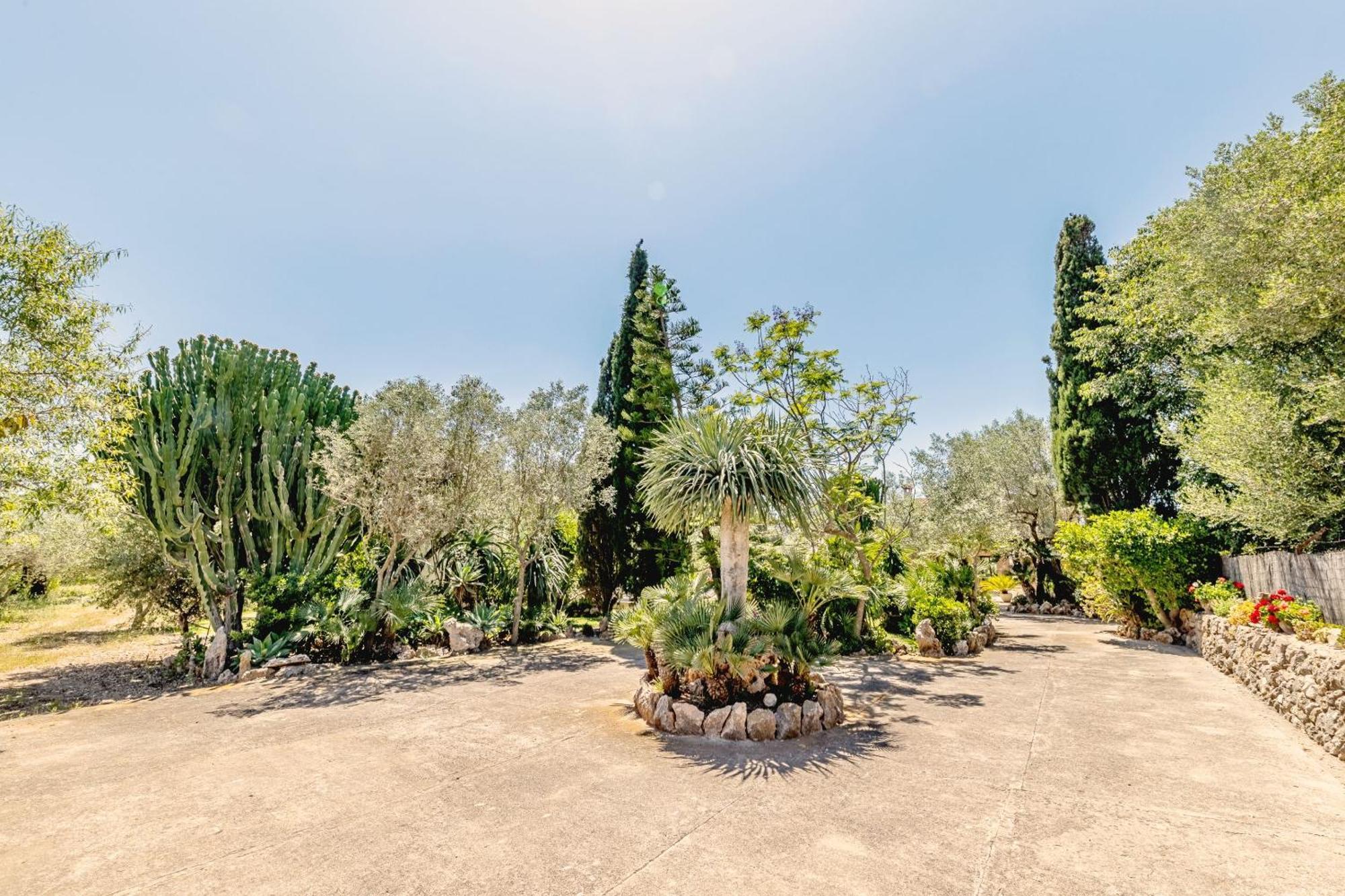 Villa Camarroja By Sealand
