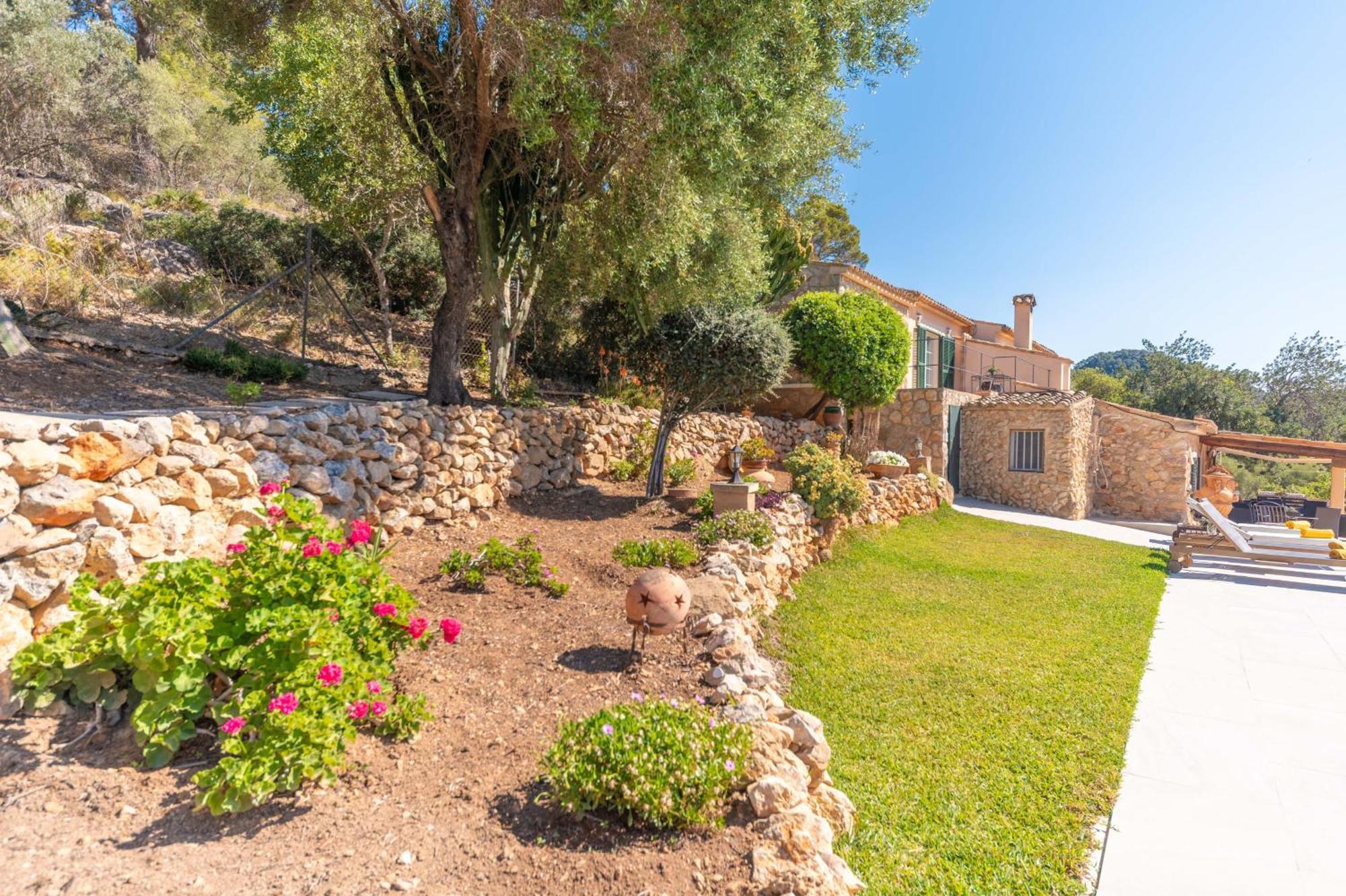 Villa Son Orlandis